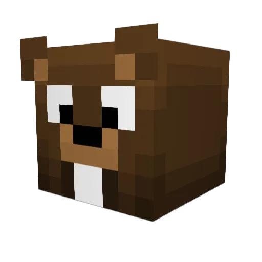 Sopher08 Minecraft avatar head, 3D render