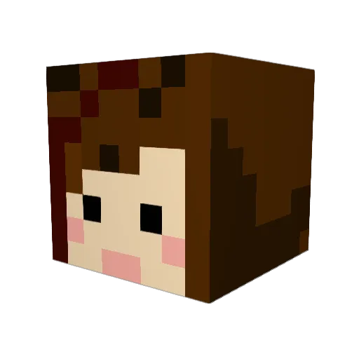 Sophia220 Minecraft avatar head, 3D render