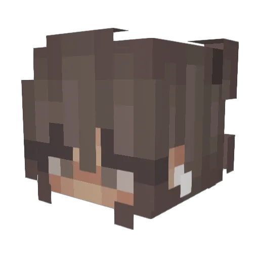 Sophia326 Minecraft avatar head, 3D render