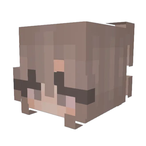 Sophia5137 Minecraft avatar head, 3D render