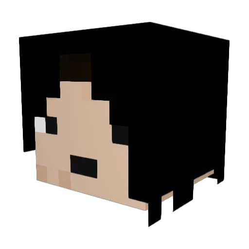 SophiaBean22 Minecraft avatar head, 3D render
