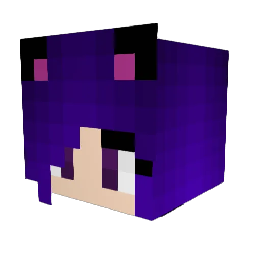 SophiaBug Minecraft avatar head, 3D render