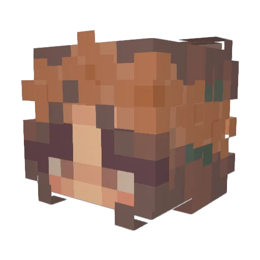 SophiaDeShae Minecraft avatar head, 3D render