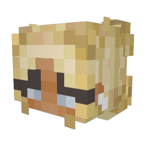 SophiaEleanor Minecraft avatar head, 3D render