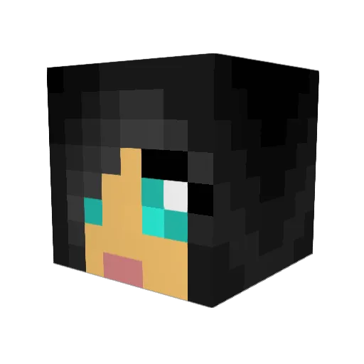 SophiaF12 Minecraft avatar head, 3D render
