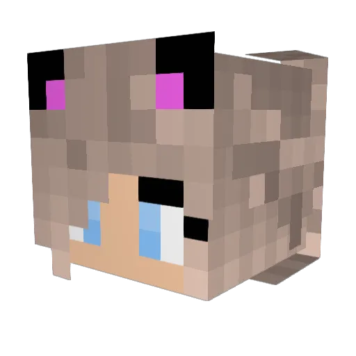 SophiaHan Minecraft avatar head, 3D render
