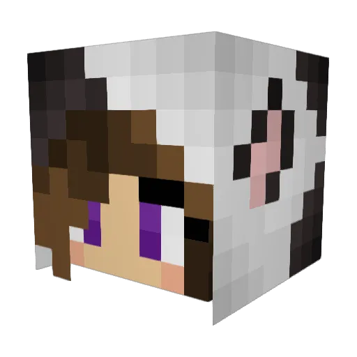 SophiaI Minecraft avatar head, 3D render