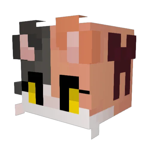 SophiaRing Minecraft avatar head, 3D render