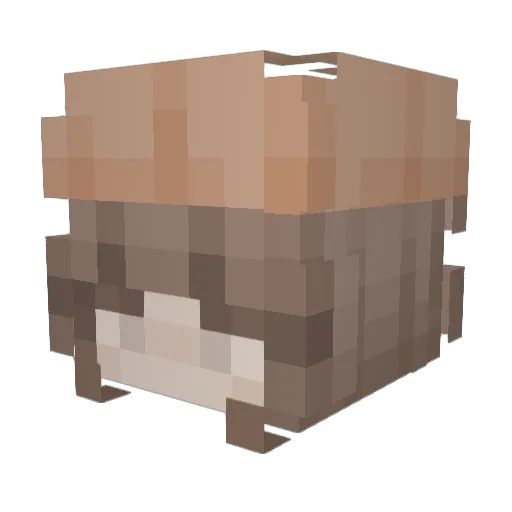 SophiaSlayer Minecraft avatar head, 3D render