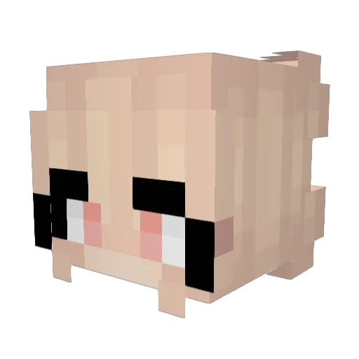 SophiaTheBigToe Minecraft avatar head, 3D render