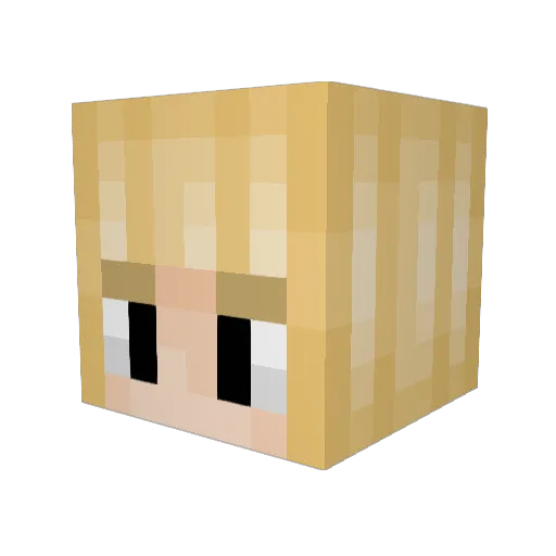 Sophia_Sunshine Minecraft avatar head, 3D render
