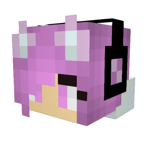 Sophia_mae2006 Minecraft avatar head, 3D render
