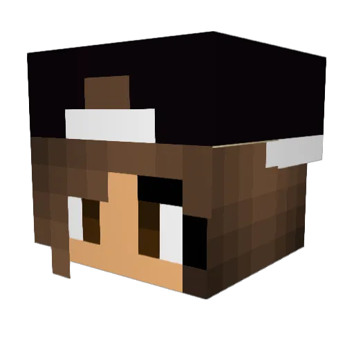 Sophie0 Minecraft avatar head, 3D render