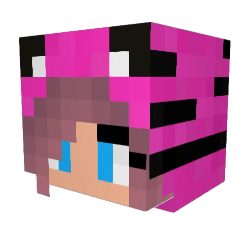Sophie1017 Minecraft avatar head, 3D render