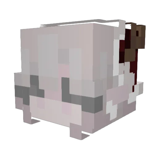 Sophie718 Minecraft avatar head, 3D render