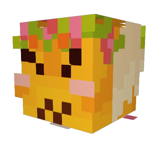 SophieKittyderg Minecraft avatar head, 3D render