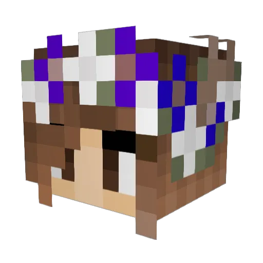 Sophie_Spiffy Minecraft avatar head, 3D render