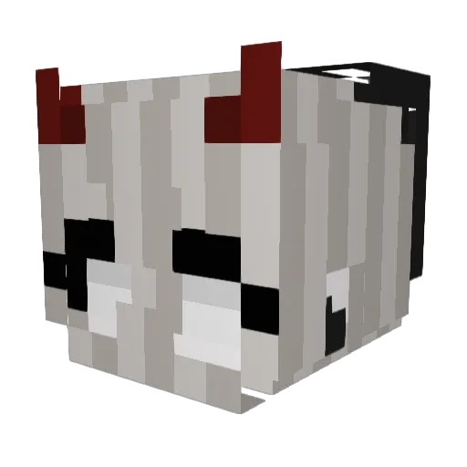 Sophiedoll_ Minecraft avatar head, 3D render