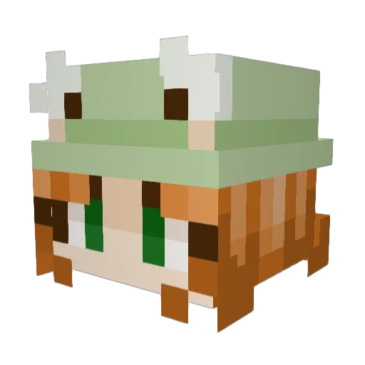 Sophieee6948 Minecraft avatar head, 3D render