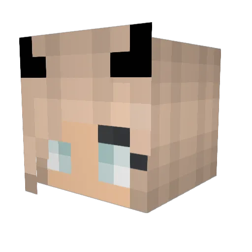 Sophienchen Minecraft avatar head, 3D render