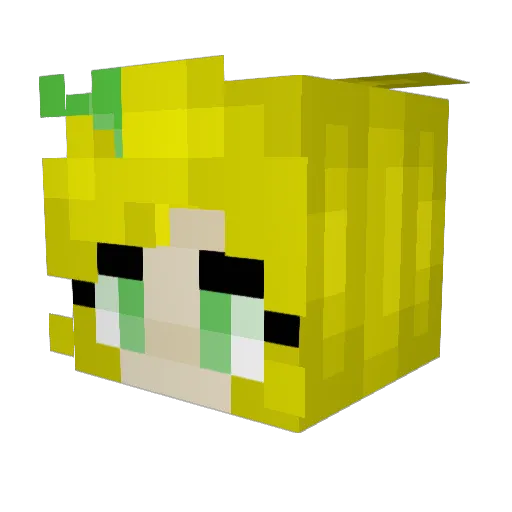 Sophisticat42 Minecraft avatar head, 3D render
