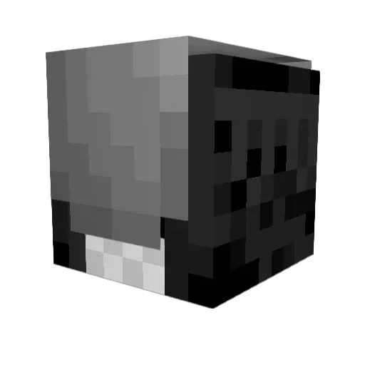 Sophizzle625 Minecraft avatar head, 3D render