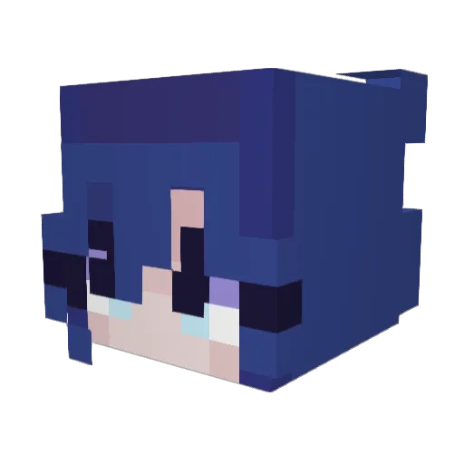 Sophl98 Minecraft avatar head, 3D render