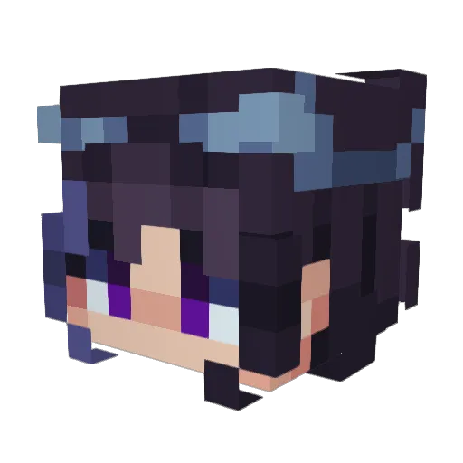 SophlyDophly Minecraft avatar head, 3D render