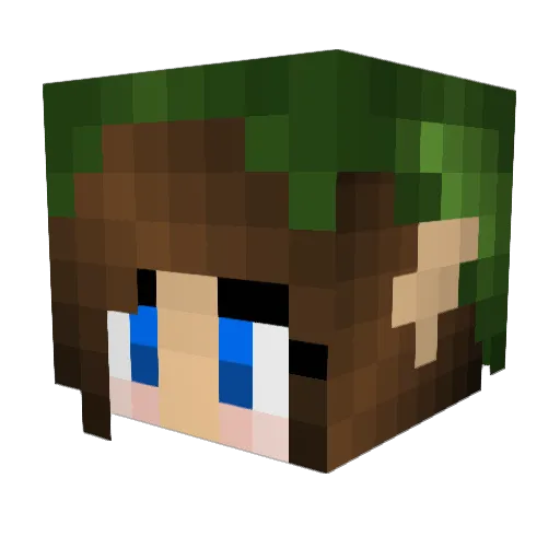 Sophnic13 Minecraft avatar head, 3D render
