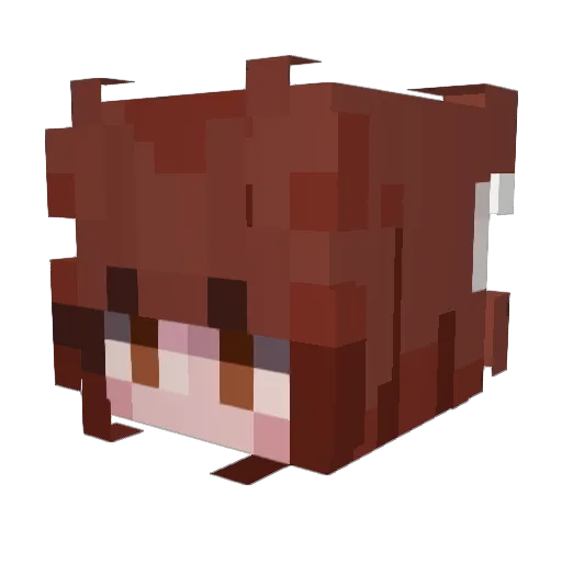 Sophrosynee Minecraft avatar head, 3D render