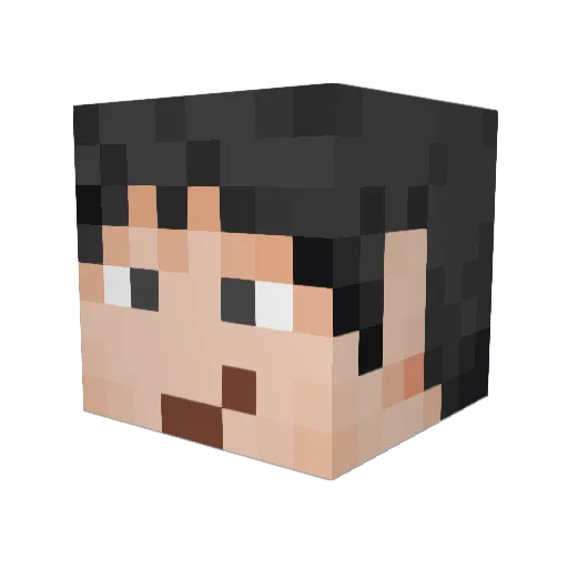 Sophrosynes11037 Minecraft avatar head, 3D render