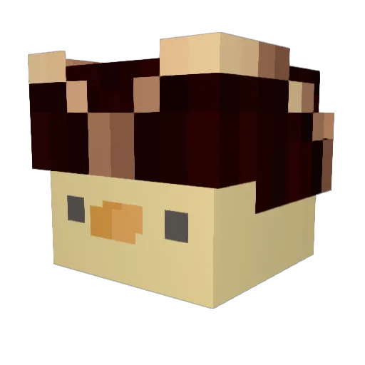 Sopid Minecraft avatar head, 3D render