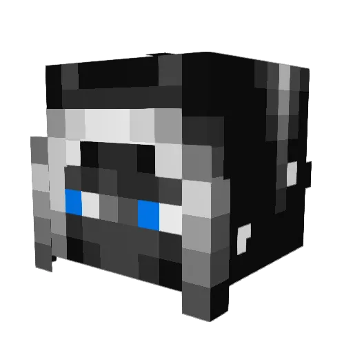 Soplbdy Minecraft avatar head, 3D render
