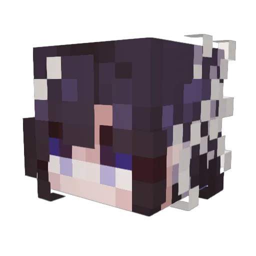 Soplepad Minecraft avatar head, 3D render