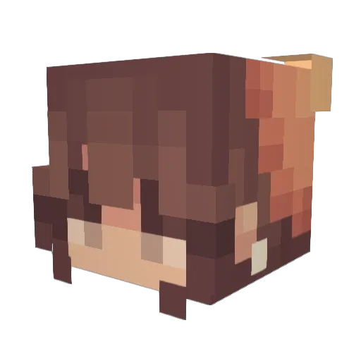 Sopop101 Minecraft avatar head, 3D render