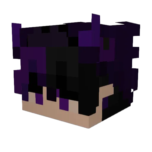 Soppti Minecraft avatar head, 3D render