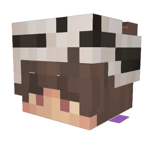 Sopsicles Minecraft avatar head, 3D render