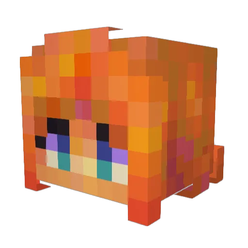 Soqn Minecraft avatar head, 3D render