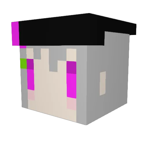 SorTilege_0 Minecraft avatar head, 3D render
