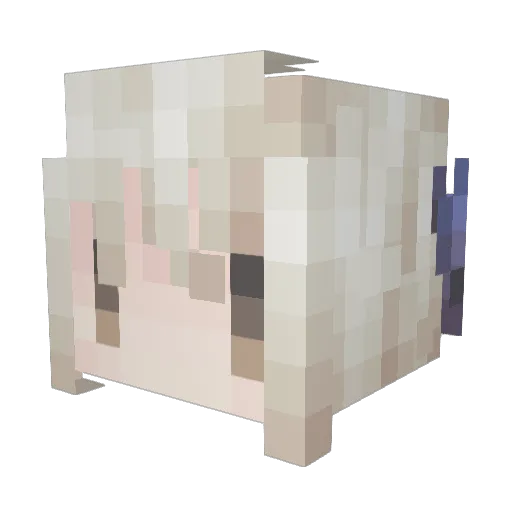 Sora6684 Minecraft avatar head, 3D render