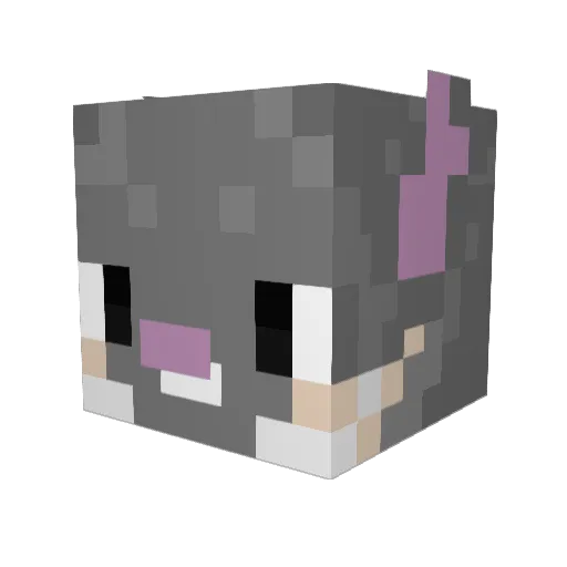 SoraNoChinchira Minecraft avatar head, 3D render