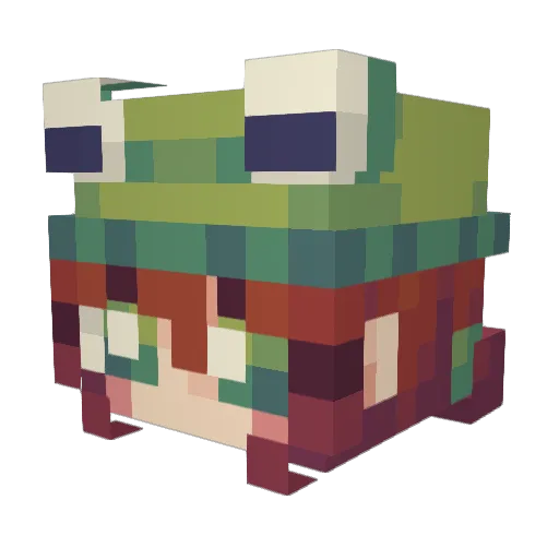 SoraScrungus Minecraft avatar head, 3D render