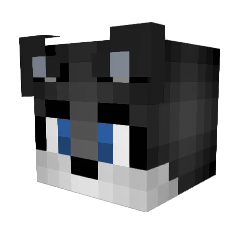 SoraTheGamer Minecraft avatar head, 3D render