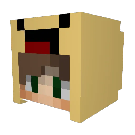 Soragran Minecraft avatar head, 3D render