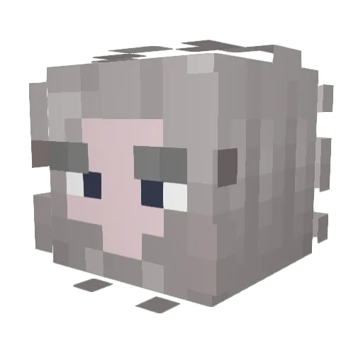 Soraking444 Minecraft avatar head, 3D render