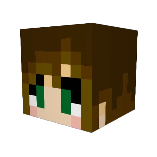 Soranoon76 Minecraft avatar head, 3D render