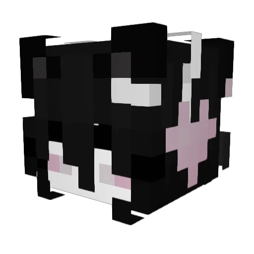 Sorareed Minecraft avatar head, 3D render