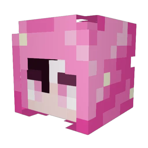 Sorasalt Minecraft avatar head, 3D render