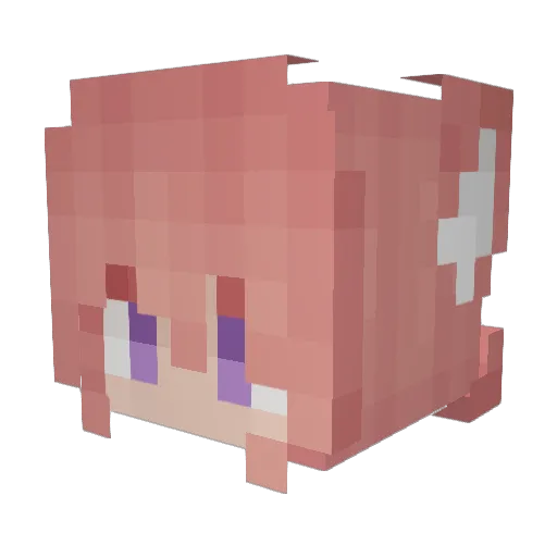 Soraxar Minecraft avatar head, 3D render