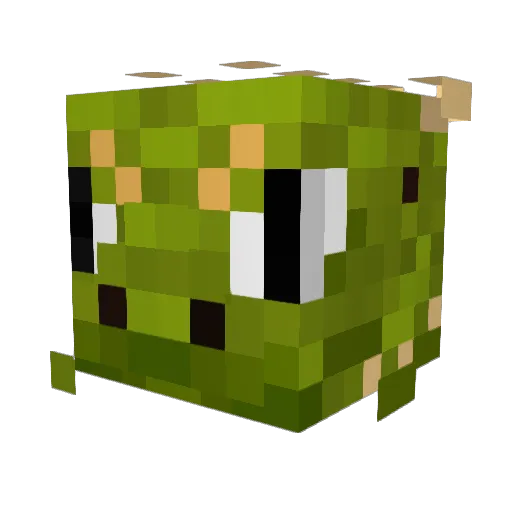 SorcDork Minecraft avatar head, 3D render